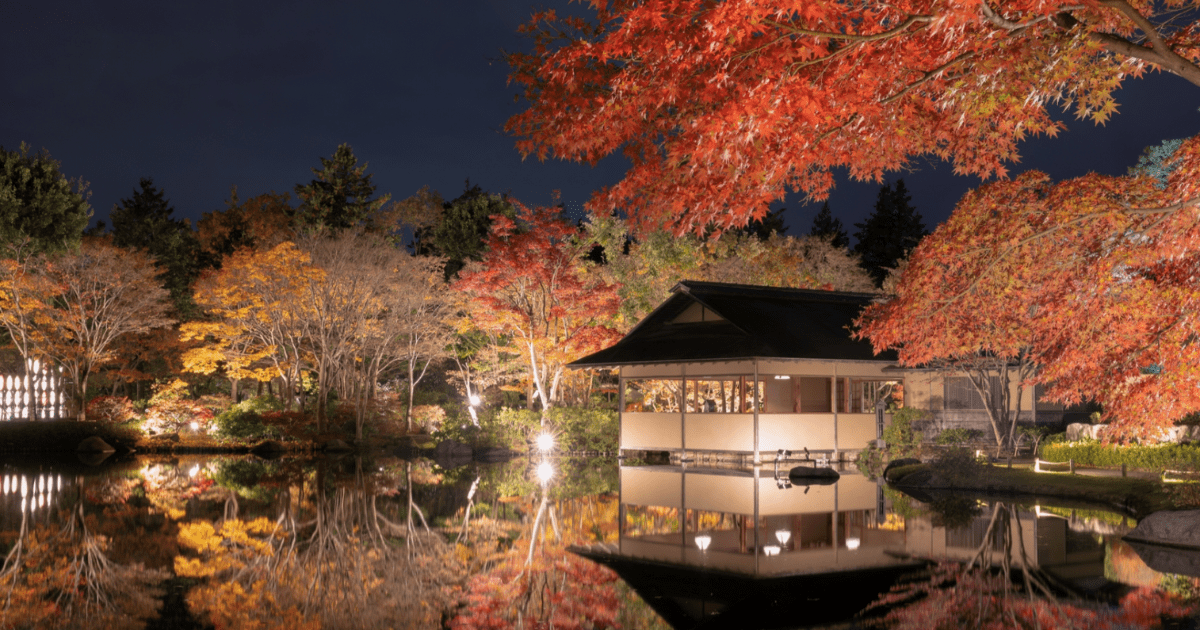 黄葉・紅葉まつり＆秋の夜散歩2024