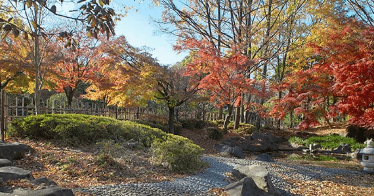 府中の森公園