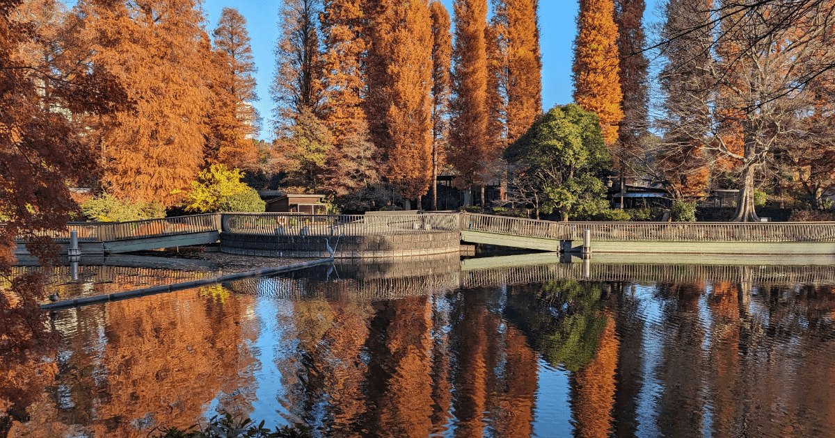 井の頭恩賜公園紅葉