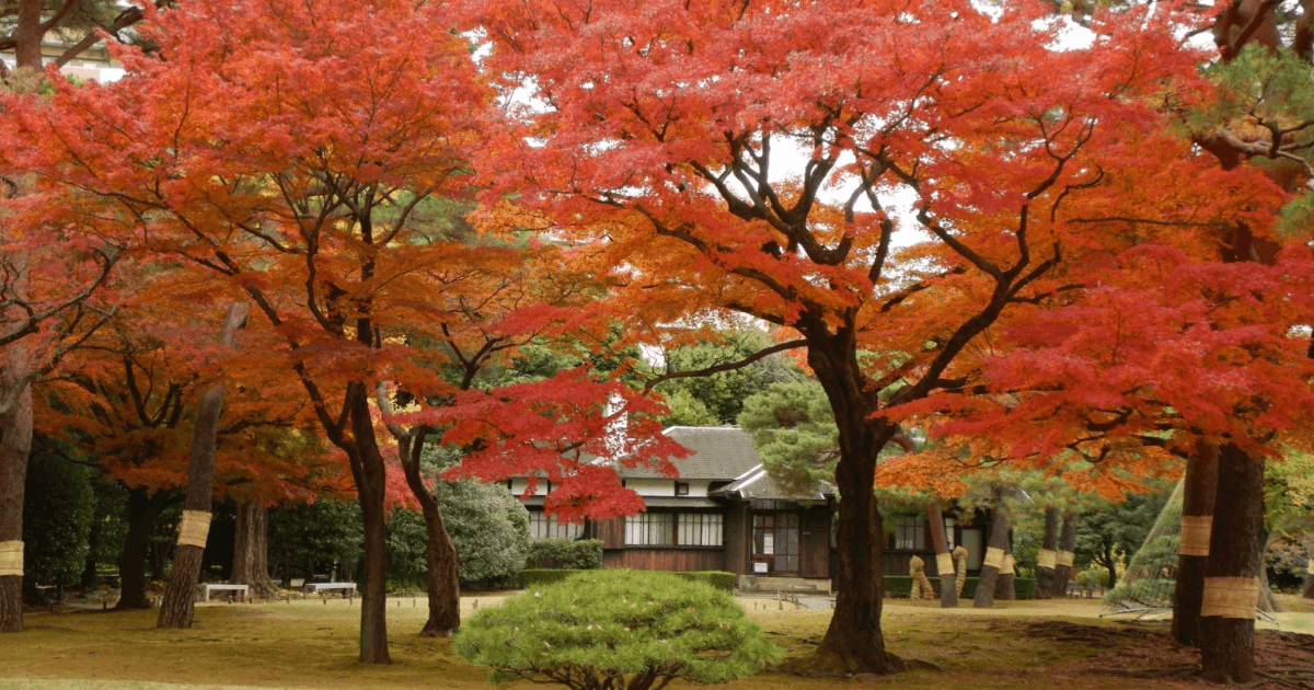 殿ヶ谷戸庭園