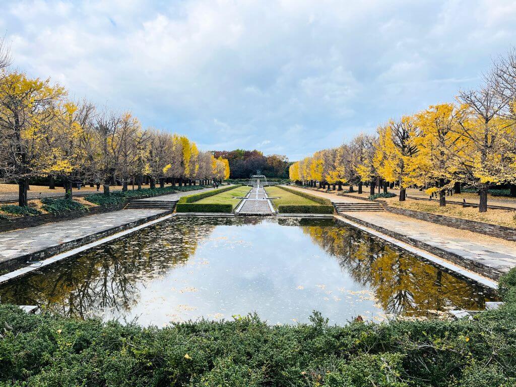 昭和記念公園イチョウの紅葉