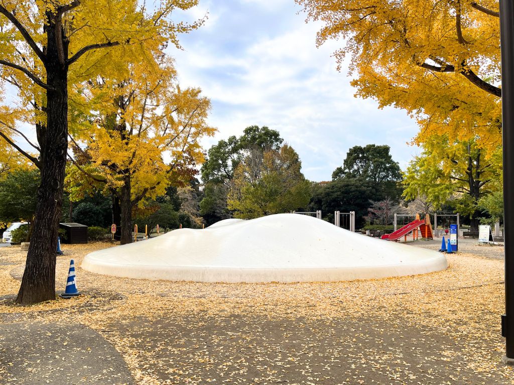 昭和記念公園の紅葉