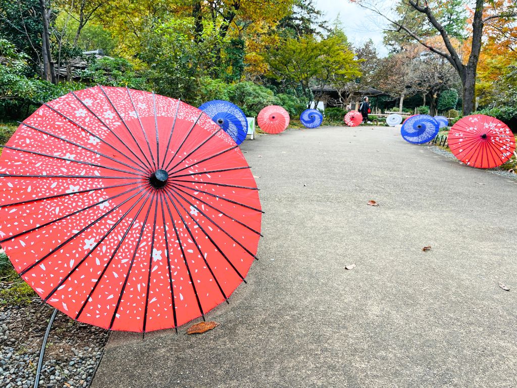 昭和記念公園日本庭園